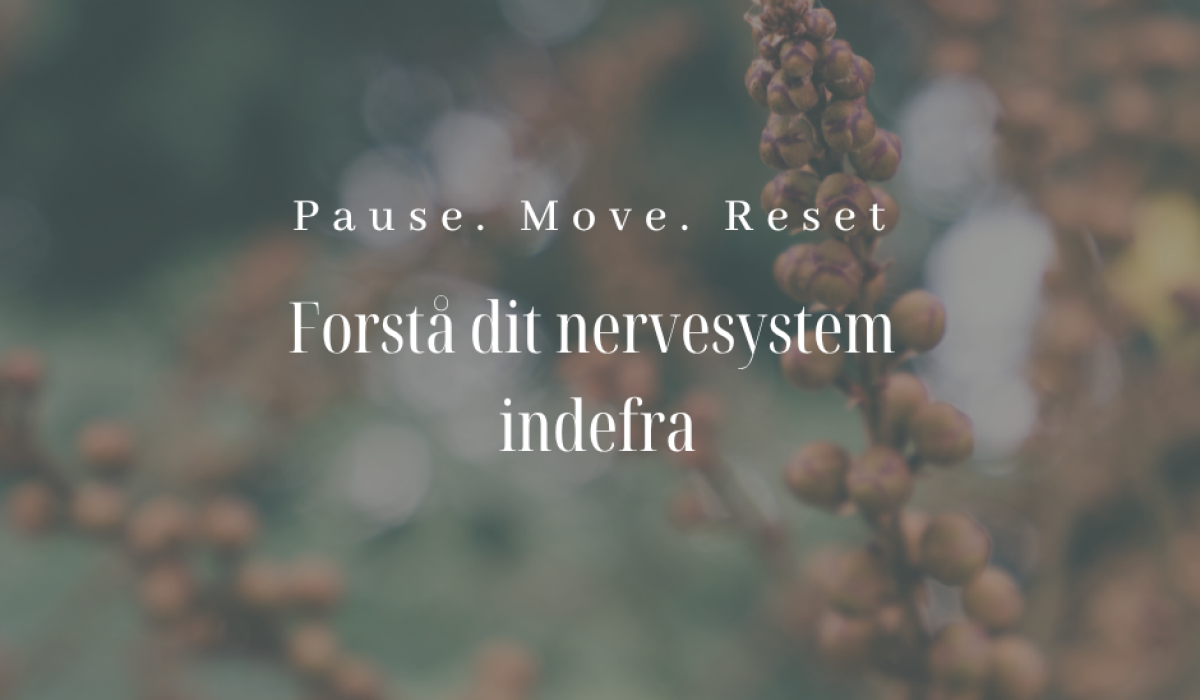 Forstå dit nervesystem indefra