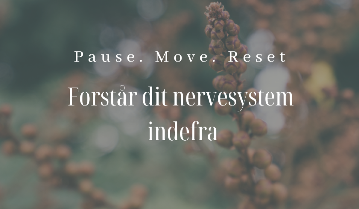 Forstår dit nervesystem indefra