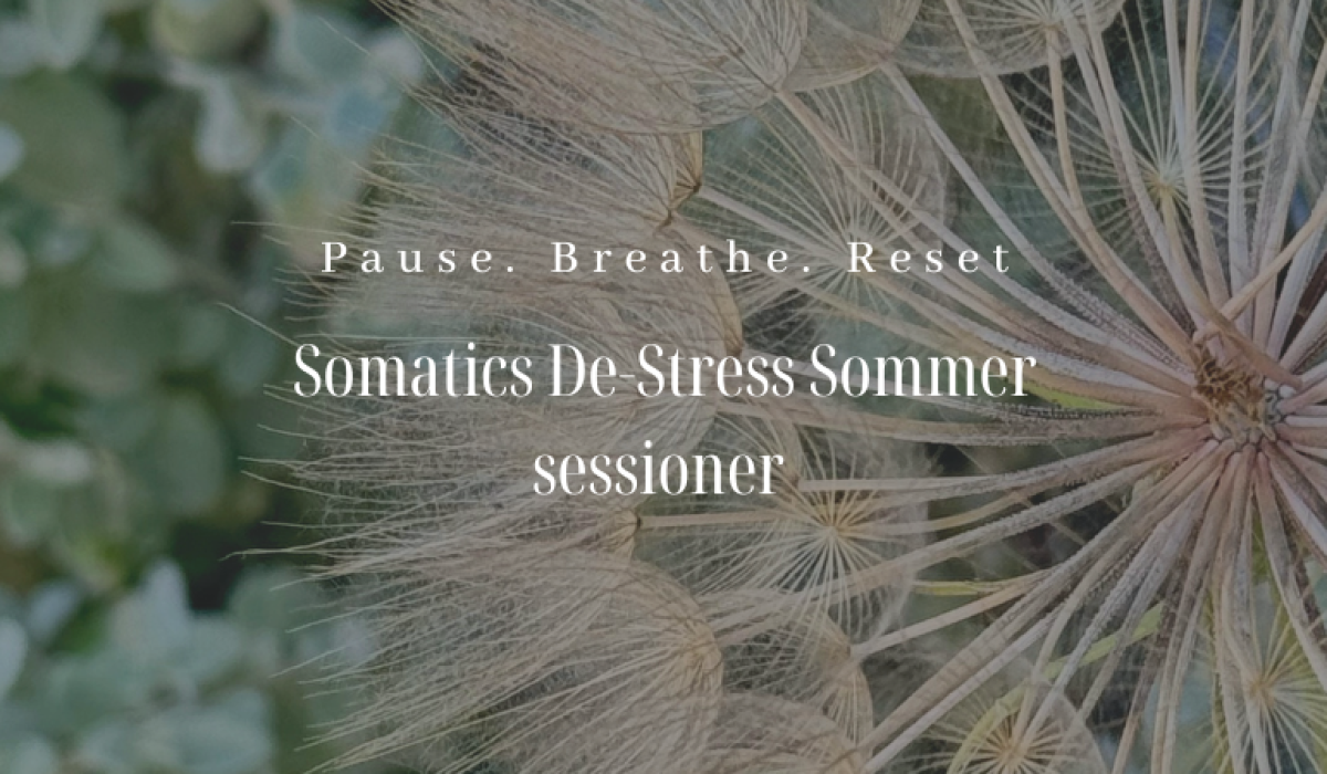 Somatics De-stress Self Care For Business Owners Instagram Post (800 x 450 px) (1)